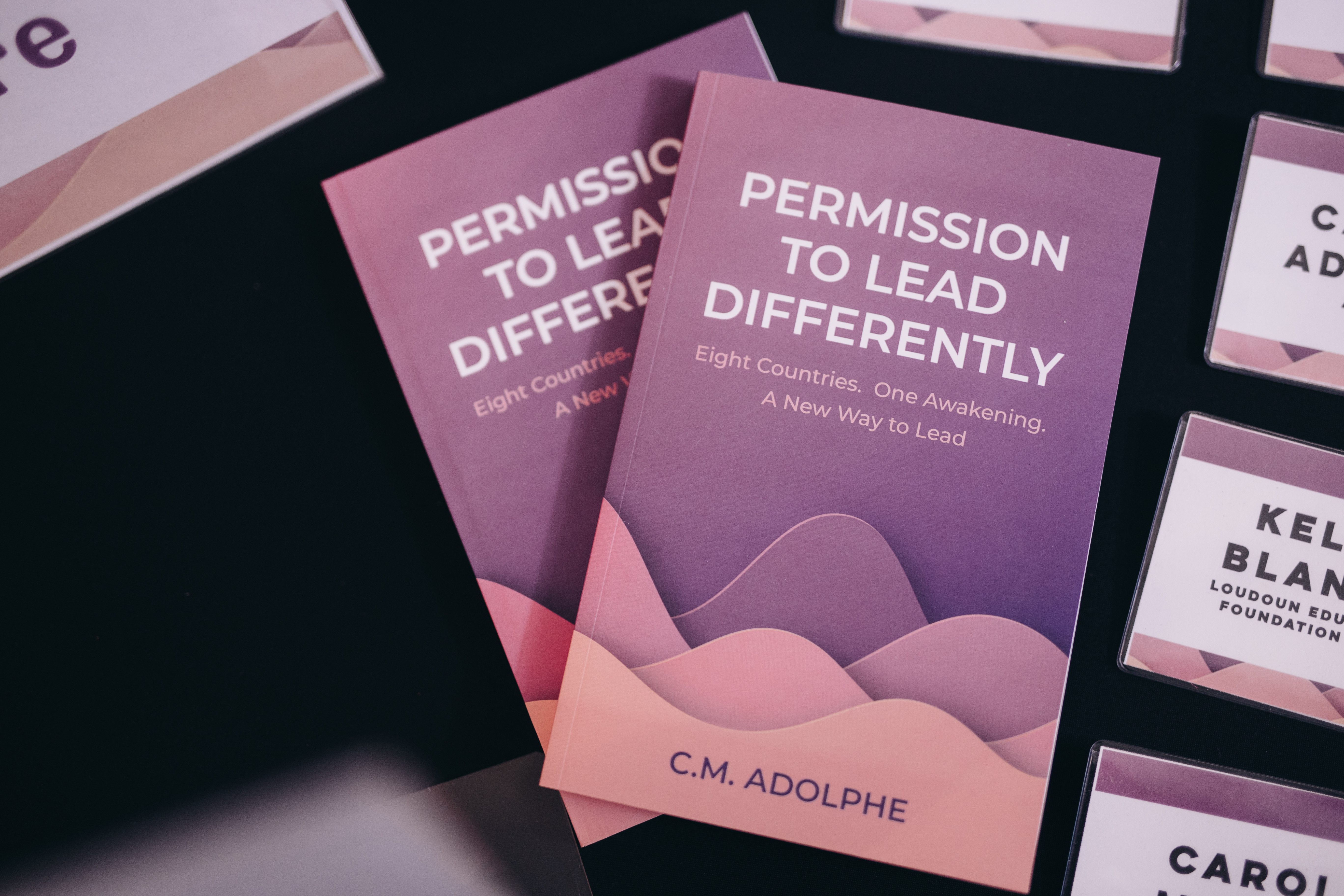 Permission to Lead Differently book cover